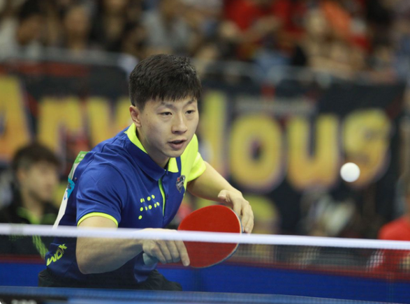 动态不仅引 动态不仅引