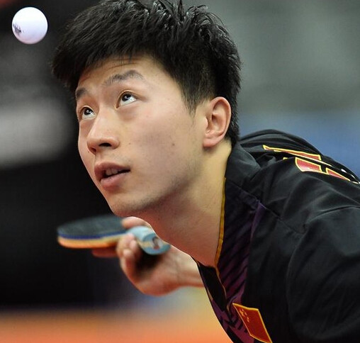 华与现代韵 华与现代韵